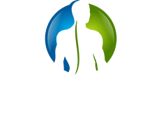 Apex Spine Institute